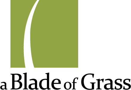blade-of-grass